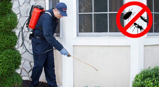Bahçe Karınca İlaçlama böcek ilaçlama ve haşere kontrolü — ilaclama-tr.com
